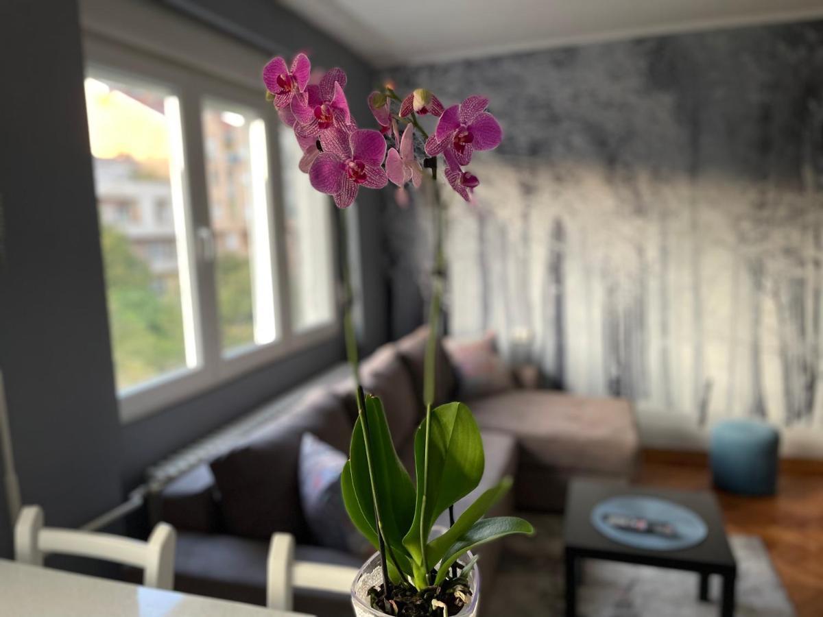 Apartman Avenia Novi Sad Eksteriør billede