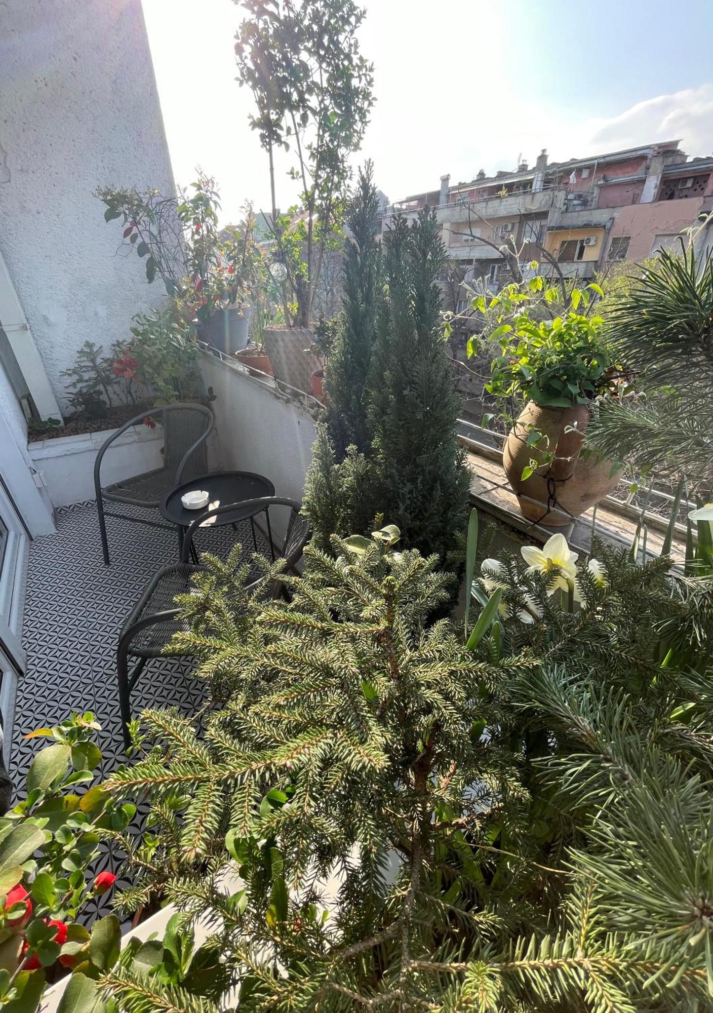 Apartman Avenia Novi Sad Eksteriør billede